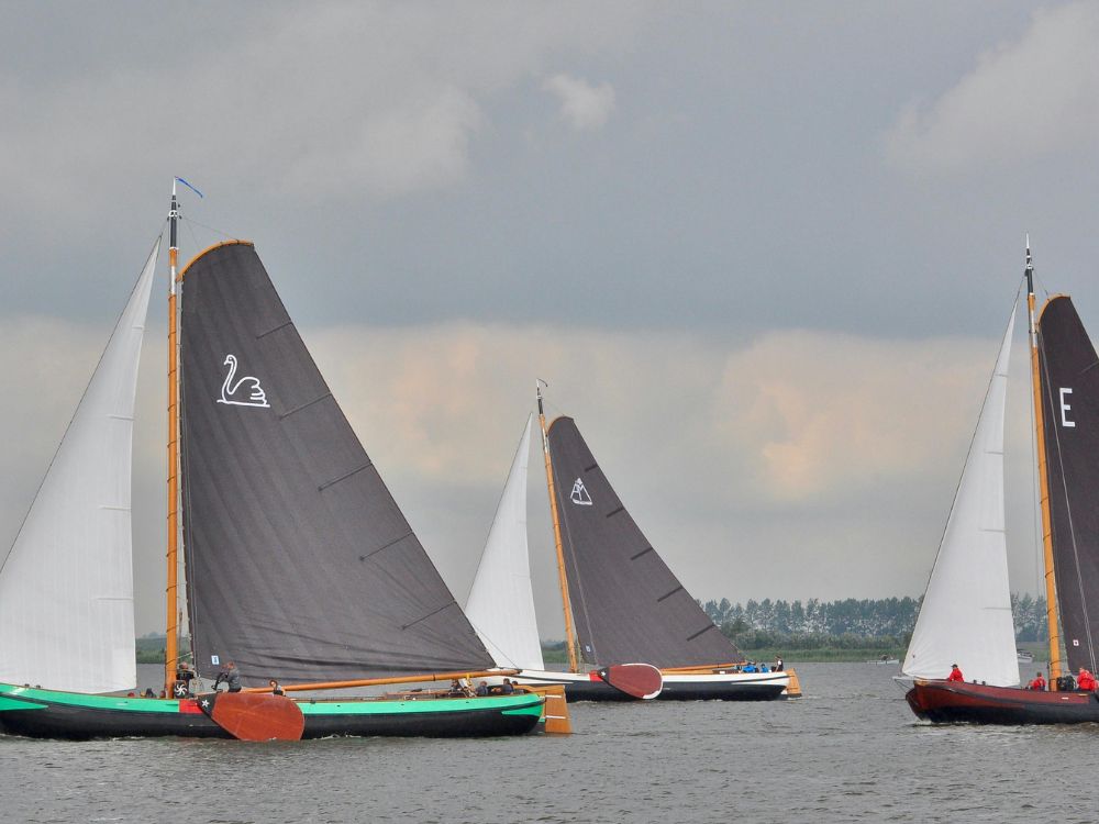 Op zoek naar een bedrijfspsycholoog die werkzaam is in Friesland?